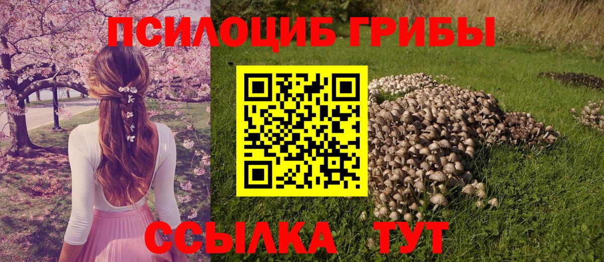 Галлюциногенные грибы Magic Shrooms  Псилоцибиновые грибы Cubensis  Благовещенск  Вход с VPN 